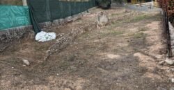 Terreno urbano en venta en Sant Martí de Tous, cerca del centro del pueblo.
