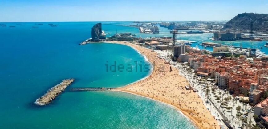 Apo. Playa en alquiler en Barcelona / La Barceloneta