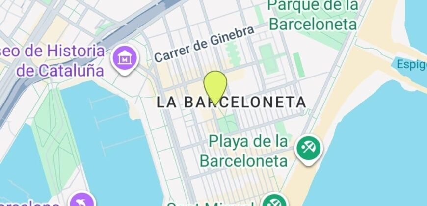 Apo. Playa en alquiler en Barcelona / La Barceloneta